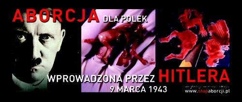 Hitler, Polsko, potraty