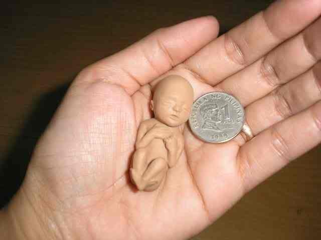 Model 10 tt (ProLifeResources)