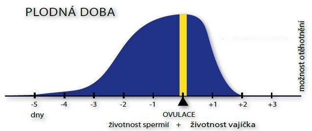 Plodn obdob